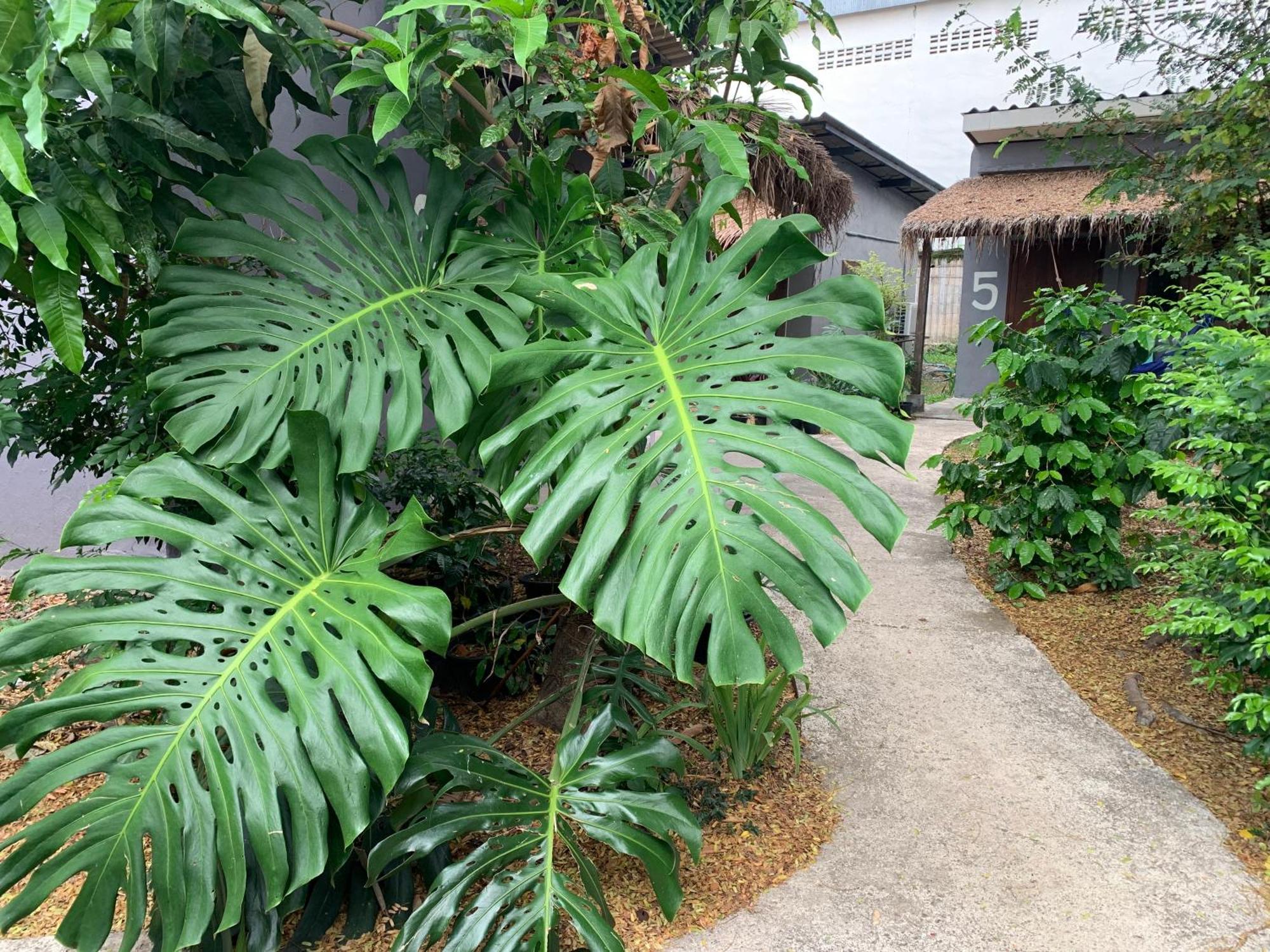 บ้านใจแปงโฮมสเตย์ Ban Jaipang Homestay Pai Exterior foto